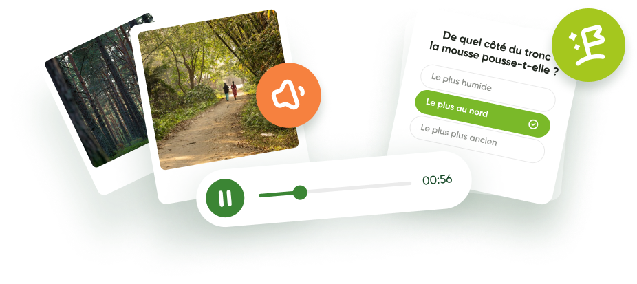 Illustration de l'application