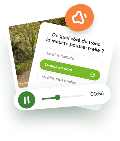 Illustration de l'application